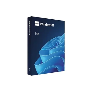 ویندوز 11 پرو Windows 11 Pro